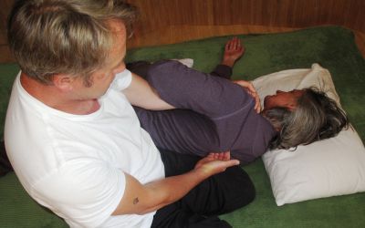 Shoulder Mobilisation Movement